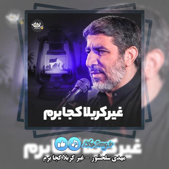 دانلود نماهنگ مهدی سلحشور غیر کربلا کجا برم